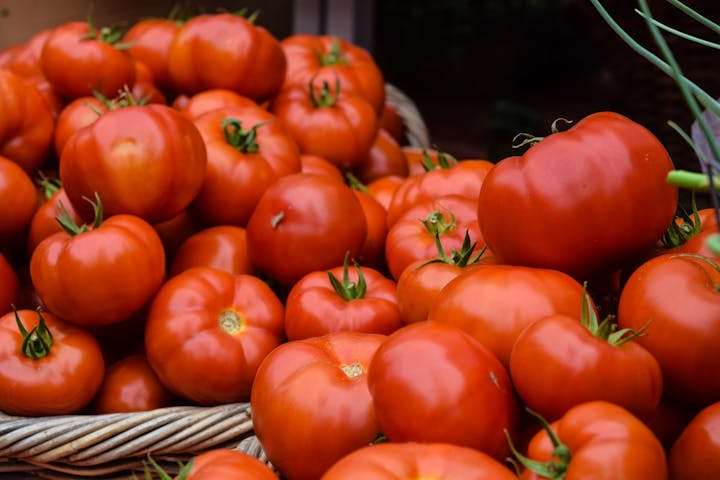 ダイエッター必見 トマトは脂肪を燃やす カロリーや糖質を管理栄養士が解説 Healmethy Press ヘルメシプレス