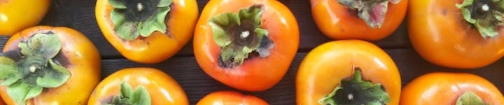 りんごのカロリーは 太りにくいって本当 ダイエット中の食べ方も紹介 Healmethy Press ヘルメシプレス