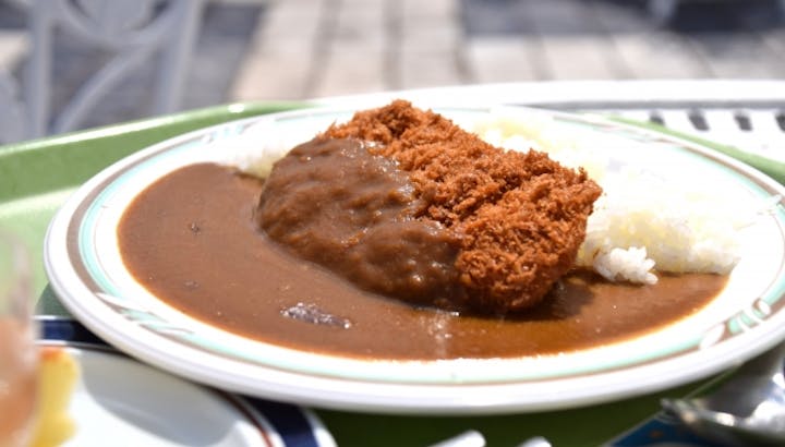 カツカレーは高カロリー 高脂質 カツをチェンジでカロリーダウン Healmethy Press ヘルメシプレス