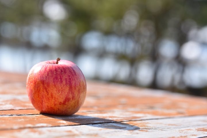 りんごのカロリーは 太りにくいって本当 ダイエット中の食べ方も紹介 Healmethy Press ヘルメシプレス