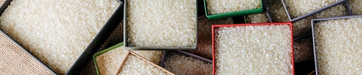 白米（お米）のカロリー・糖質をわかりやすく解説！玄米やもち麦と炊いた場合も